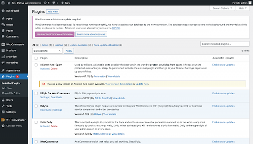 delyva woocommerce plugin